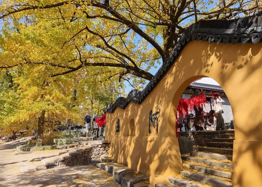 1763687631269649LVRo.jpg 图片8.jpg